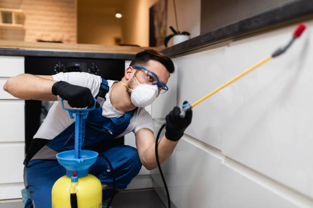 Best Flea Control Services  in Alum Creek, WV