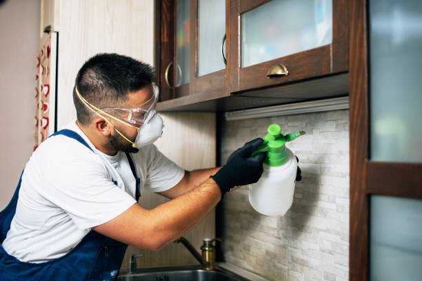 Best Pest Prevention Services  in Alum Creek, WV