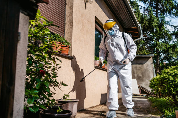 Best Pest Inspection Near Me  in Alum Creek, WV
