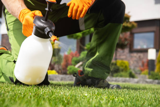 Best Affordable Pest Control Services  in Alum Creek, WV