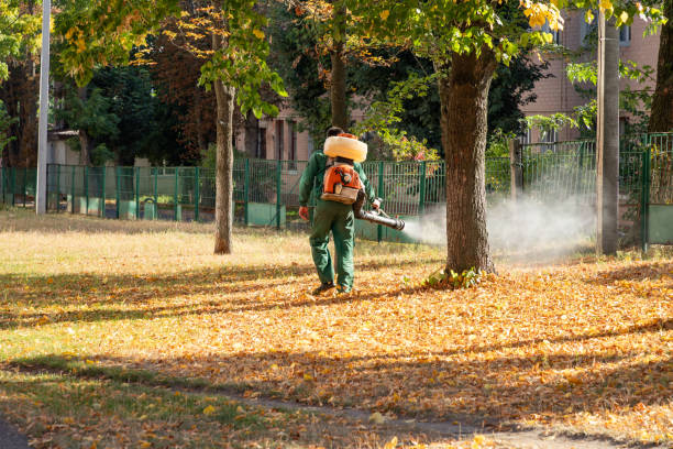 Best Wasp Removal Services  in Alum Creek, WV